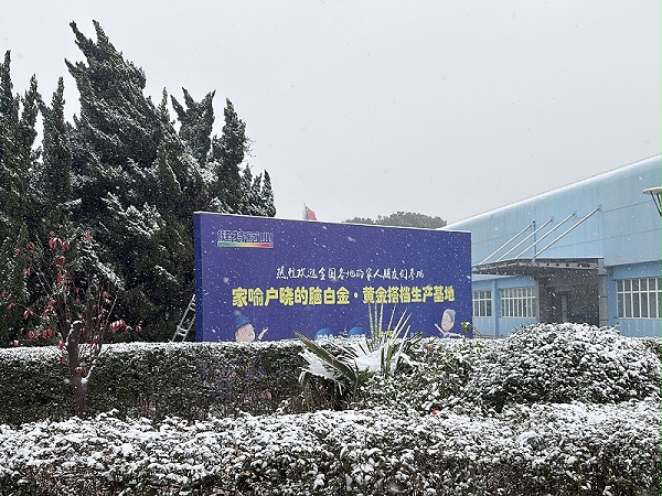 032d7fbcdc20cc4240a64ca5a3e13fad