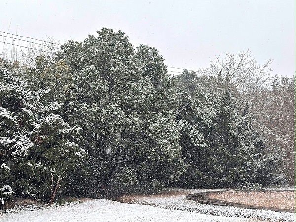 2b9dd976c4245051970ef22285a75f87