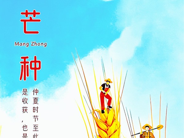 芒种｜播下美好，收获安康