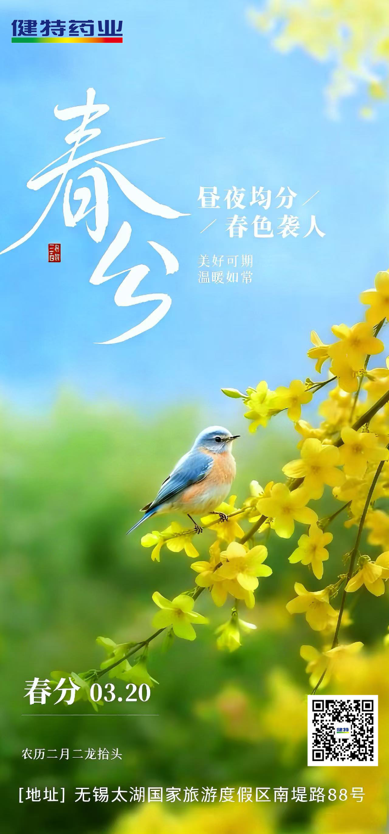 QQ