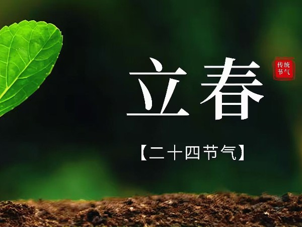 立春｜风传暖意，万物赴新程