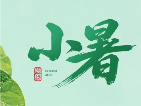 今日小暑